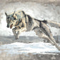 The Hunt
