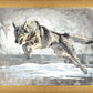 The Hunt