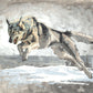 The Hunt