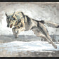 The Hunt