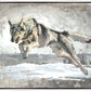 The Hunt