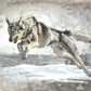 The Hunt