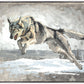 The Hunt
