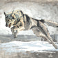 The Hunt