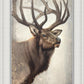 Nature's Allure