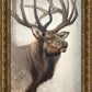 Nature's Allure