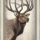 Nature's Allure