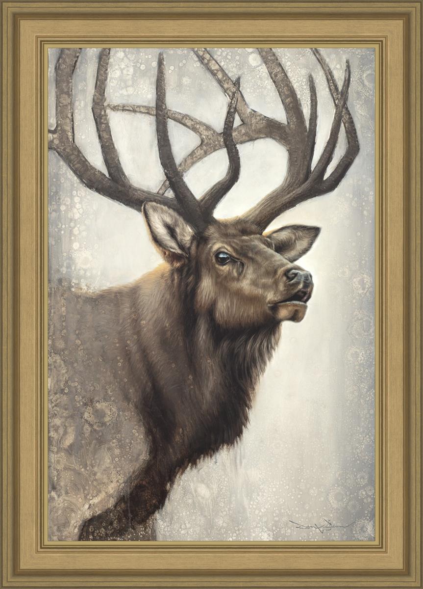 Nature's Allure