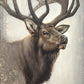 Nature's Allure