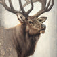 Nature's Allure