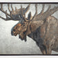 Morning Light