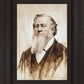 Brigham Young