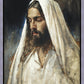 Alpha and Omega