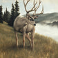 Nature's Silence