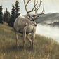 Nature's Silence