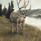 Nature's Silence