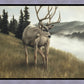 Nature's Silence