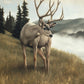 Nature's Silence