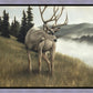Nature's Silence