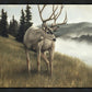 Nature's Silence