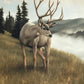Nature's Silence