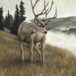 Nature's Silence