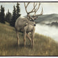 Nature's Silence