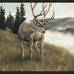 Nature's Silence