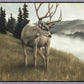 Nature's Silence