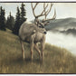 Nature's Silence