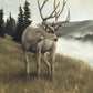 Nature's Silence