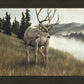 Nature's Silence