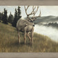 Nature's Silence