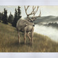 Nature's Silence