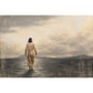 Peace, Be Still