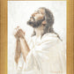 Thy Will