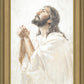 Thy Will