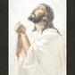 Thy Will