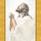 Thy Will