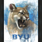 Go Cougs