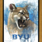 Go Cougs