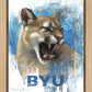 Go Cougs