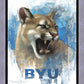 Go Cougs