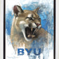 Go Cougs
