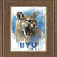 Go Cougs