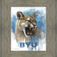Go Cougs
