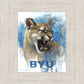 Go Cougs
