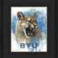 Go Cougs
