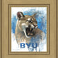 Go Cougs