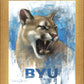 Go Cougs